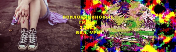гашик Куйбышев
