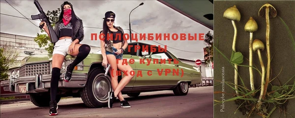 прущий лед Кулебаки